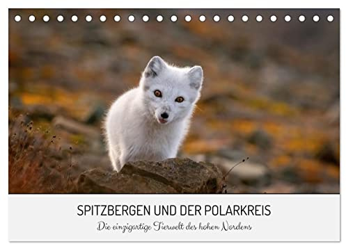Spitzbergen und der Polarkreis (Tischkalender 2026 DIN A5 quer), CALVENDO Monatskalender: Ein Jahr im Tierreich des hohen Nordens (CALVENDO Tiere)