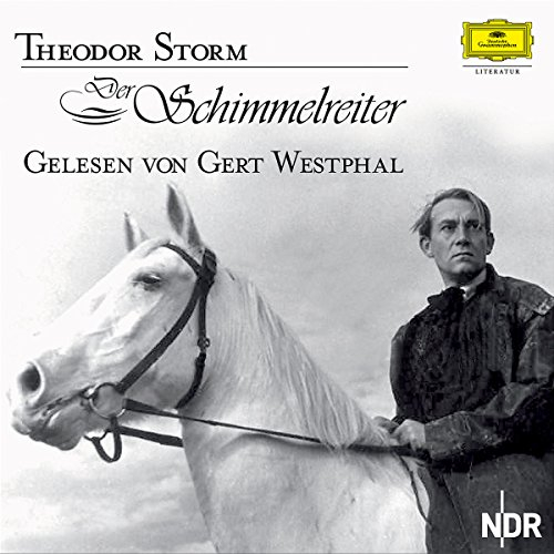 Der Schimmelreiter, 4 Audio-CDs
