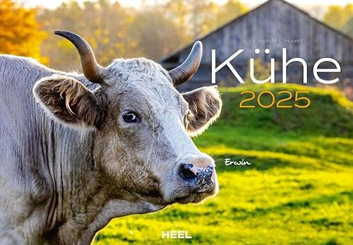 Kühe Kalender 2025 Wandkalender: Der Tierkalender mit den charmanten Namen