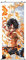 CosplayStudio Großes One Piece Rollbild/Kakemono aus Stoff | Poster 100x40cm | Motiv: Puma D. Ace