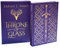 Throne of Glass Collector's Edition: From the # 1 Sunday Times best-selling author of A Court of Thorns and Roses