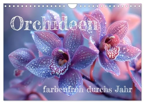 Orchideen - farbenfroh durchs Jahr (Wandkalender 2026 DIN A4 quer), CALVENDO Monatskalender: Motivkalender Orchideen (CALVENDO Natur)
