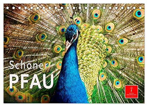 Schöner Pfau (Tischkalender 2026 DIN A5 quer), CALVENDO Monatskalender: Der Pfau - einer der ältesten Ziervögel der Menschen. (CALVENDO Tiere)