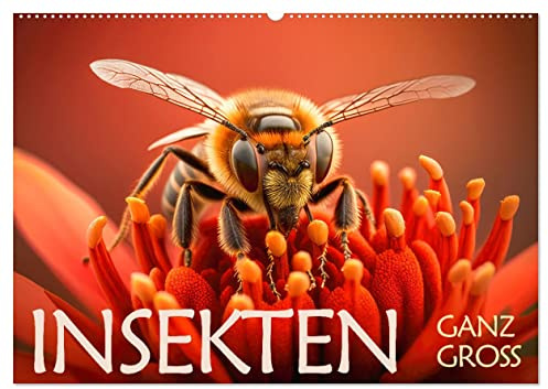 Insekten ganz gross (Wandkalender 2026 DIN A2 quer), CALVENDO Monatskalender: Kleine Insekten im Grossformat (CALVENDO Tiere)