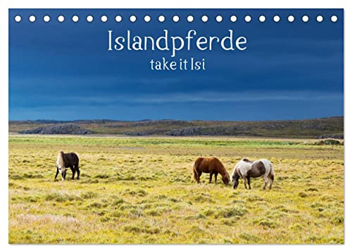 Islandpferde take it Isi (Tischkalender 2026 DIN A5 quer), CALVENDO Monatskalender: Die Welt der Islandpferde kann nur jeden Reiter begeistern (CALVENDO Tiere)