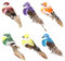 DHSBGWSX 6 Stück Simulierte Vögel, Bunte Künstliche Vögel, Clip-Deko-Vögel, Bastel-Deko-Vögel, Gartenornamente, Hofdekorations-Requisiten