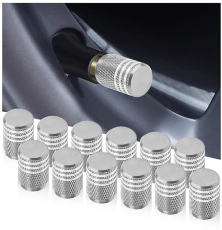 Adunsiaoto 12 Stück Auto Ventilkappen Abdeckung, Autoventil Aluminium Kappen, Ventilkappen Korrosionsbeständig, Reifenventil-Staubkappen Universal Ersatz Vans(Silber)