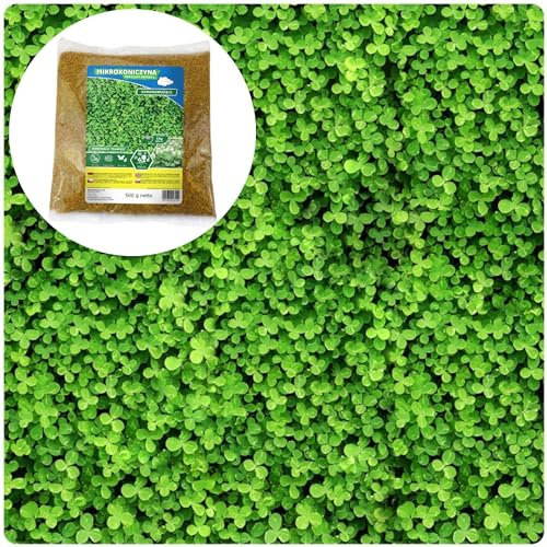 Mikroklee - Weißklee Trifolium repens 250g - Rasenklee bereichert den Rasen - Klee Samen zur Anlockung von Bienen -Saatgut für gleichmäßige, dichte Grasnarbe das ganze Jahr über