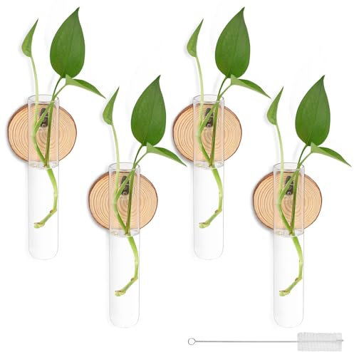 Cyiecw 4 Stück Deko Reagenzglas Vase mit Reinigungsbürste, Abnehmbare Reagenzgläser für Blumen, Propagation Station Ohne Bohren, Kreativer Glas Hängevase Wand für Hydrokultur Pflanzen