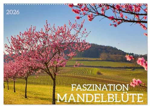 FASZINATION MANDELBLÜTE (Wandkalender 2026 DIN A2 quer), CALVENDO Monatskalender: Mandelblüte an der Südlichen Weinstraße mit Zitaten (CALVENDO Natur)