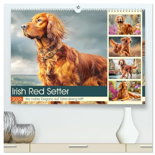Irish Red Setter. Wo noble Eleganz auf Tatendrang trifft (hochwertiger Premium Wandkalender 2026 DIN A2 quer), Kunstdruck in Hochglanz: Ein ... und Anmut in schönen Bildern (CALVENDO Tiere)