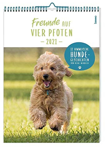 Freunde auf vier Pfoten 2021: 12 himmlische Hunde-Geschichten