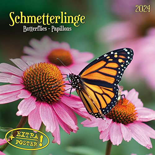 Schmetterlinge 2024: Kalender 2024 (Artwork Edition)