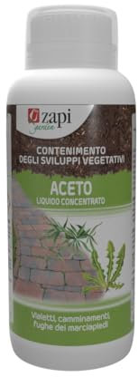 Zapi Vinaigre concentré Bio Lt.1