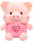 OZXVXZO Schwein Plüschtier Kuscheltier, Stofftier Schwein Pink Plüsch Spielzeug Tier Plüschkissen Weich Kissen Geschenk Kinder Geburtstag (26 cm, Pink)