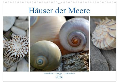 Häuser der Meere: Muscheln - Seeigel - Schnecken (Wandkalender 2026 DIN A3 quer), CALVENDO Monatskalender: Sammelobjekte aus Sand und Meer (CALVENDO Tiere)