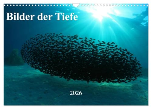 Bilder der Tiefe 2026 (Wandkalender 2026 DIN A3 quer), CALVENDO Monatskalender: Faszinierende Bilder aus der Wunderwelt tropischer Korallenriffe (CALVENDO Natur)