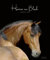 Horses on Black 2023: Großer Wandkalender. Foto-Kunstkalender mit edlen Pferde. PhotoArt Kalender im Hochformat. 45,5 x 55 cm