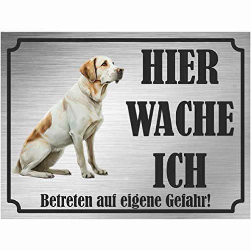 INDIGOS UG - Labrador Retriever - Schild bedruckt - Hier wache ich - Aluverbundplatte Edelstahl Look - ab 20x15 cm - Spruch - Deko Geschenkidee für Ihren Hund - Zaun - Türschild