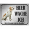 INDIGOS UG - Labrador Retriever - Schild bedruckt - Hier wache ich - Aluverbundplatte Edelstahl Look - ab 20x15 cm - Spruch - Deko Geschenkidee für Ihren Hund - Zaun - Türschild