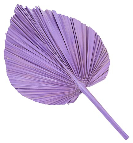 Dried Palm Leaf Fan Wedding Decor, Natural Palm Leaf Prop | Indoor and Outdoor Layout, Wine Party Table Centrepieces, Flower Adornment, Summer Event Styling