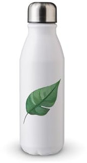 MAXIKIWI - Single Wall Water Drinking Bottle with Screw Cap, Non Insulated Lightweight Aluminium, BPA Free, Leak-Proof - Monstera Philodendron Green Leaves - 500ml