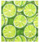 Copertura riutilizzabile per lavastoviglie con fette di lime verde, copertura per porte del frigorifero, decorazione natalizia per le vacanze, 58,4 x 66 cm