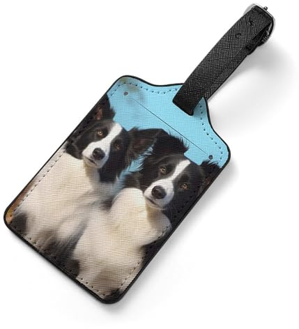 Étiquettes de bagage en cuir synthétique pour valise – Étiquette de sac Border Collie avec carte d'identité, étiquettes de valise pour femmes et hommes, identifiants de bagages colorés pour sac à dos