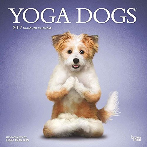 Yoga Dogs 2017 Calendar
