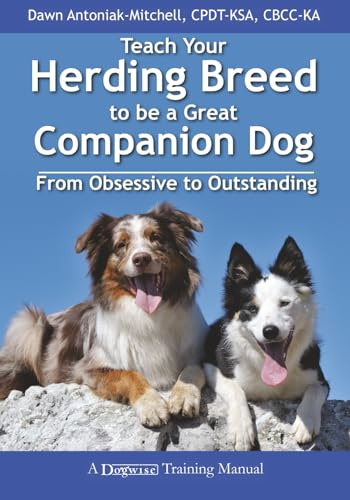 Teach Your Herding Breed to Be a Great Companion Dog: From Obsessive to Outstanding