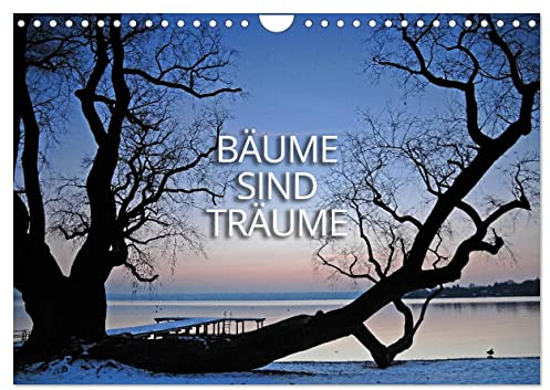 Bäume sind Träume (Wandkalender 2025 DIN A4 quer), CALVENDO Monatskalender: Bäume im Kleid der Jahreszeiten (CALVENDO Natur)