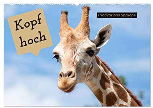 Kopf hoch Motivations Sprüche (Wandkalender 2026 DIN A2 quer), CALVENDO Monatskalender: Bleibe positiv! (CALVENDO Gesundheit)