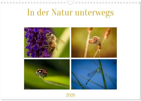In der Natur unterwegs (Wandkalender 2026 DIN A3 quer), CALVENDO Monatskalender: Mit offenen Augen sieht man oft kleines ganz groß. (CALVENDO Tiere)