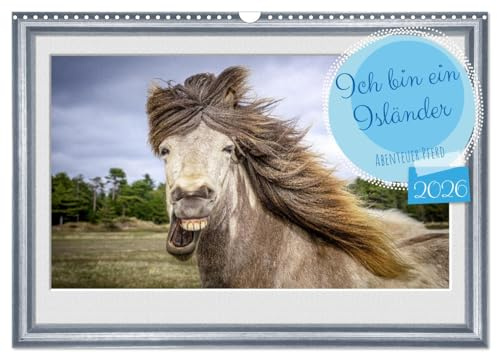 Ich bin ein Isländer (Wandkalender 2026 DIN A3 quer), CALVENDO Monatskalender: Islandpferde voller Lebensfreude. (CALVENDO Tiere)