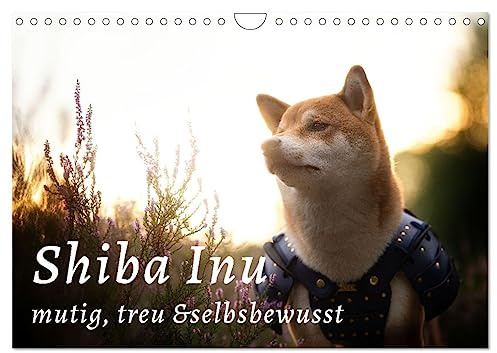 Shiba Inu - mutig, treu, selbstbewusst (Wandkalender 2026 DIN A4 quer), CALVENDO Monatskalender: Der kleine Japaner mit dem großen Lächeln und großen Gefühlen (CALVENDO Tiere)