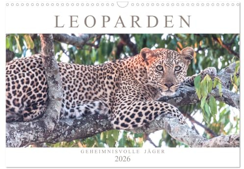 Leoparden - Geheimnisvolle Jäger (Wandkalender 2026 DIN A3 quer), CALVENDO Monatskalender: Leoparden - Großkatzen von außerordentlicher Eleganz und Ästhetik (CALVENDO Tiere)