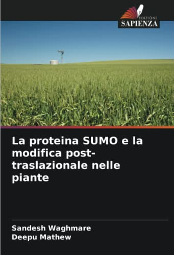 La proteina SUMO e la modifica post-traslazionale nelle piante