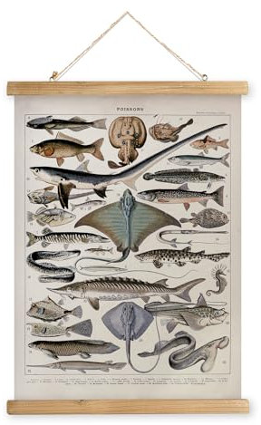 XIAOAIKA Vintage-Poster zum Aufhängen mit Holzrahmen, Retro-Stil, Wanddekoration, Kunstmalerei, Muster auf Leinen gedruckt, ohne zu verblassen, fertig zum Aufhängen (Fische, 30 x 40 cm)