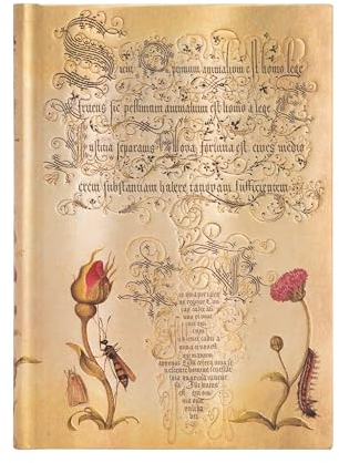 Carnet à couverture rigide Rose Flamande - Midi - Non ligné - 144 p.