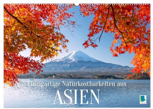 Einzigartige Naturkostbarkeiten aus Asien (Wandkalender 2026 DIN A2 quer), CALVENDO Monatskalender: Die schönsten Landschaften aus Vietnam, Nepal, ... Bhutan, Laos, Indien (CALVENDO Orte)