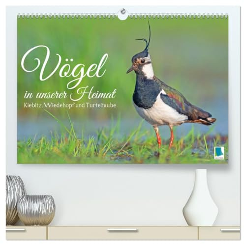 Vögel in unserer Heimat: Kiebitz, Wiedehopf und Turteltaube (hochwertiger Premium Wandkalender 2026 DIN A2 quer), Kunstdruck in Hochglanz: ... Vogelfreundes höher schlagen (CALVENDO Tiere)