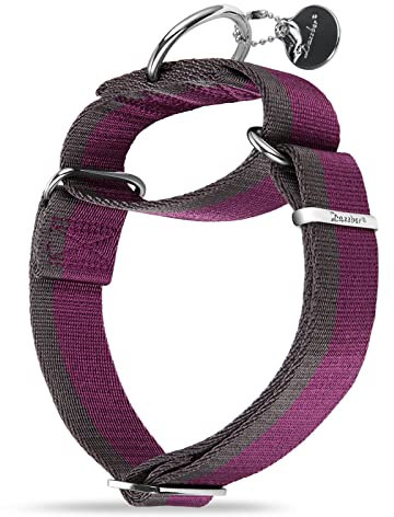 Dazzber Martingal Halsbänder für Mittel/Große Hunde 4cm Breites, Extra Starkes, Verstellbar, Hohe Farbechtheit- Nylon 2 Farbe Gestreift Weit Hundehalsband (Fuchsie & Grau, Groß, 4cm Breit)
