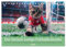 Der tierisch lustige Fußballkalender (Tischkalender 2025 DIN A5 quer), CALVENDO Monatskalender