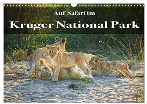 Auf Safari im Kruger National Park (Wandkalender 2026 DIN A3 quer), CALVENDO Monatskalender: Die unglaubliche Artenvielfalt des Kruger National Parks fasziniert immer wieder! (CALVENDO Natur)