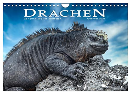 Drachen: Geheimnisvolles Tierreich (Wandkalender 2026 DIN A4 quer), CALVENDO Monatskalender: Exotische Warane, Leguane und Echsen - Lebewesen, wie aus einer anderen Zeit. (CALVENDO Tiere)