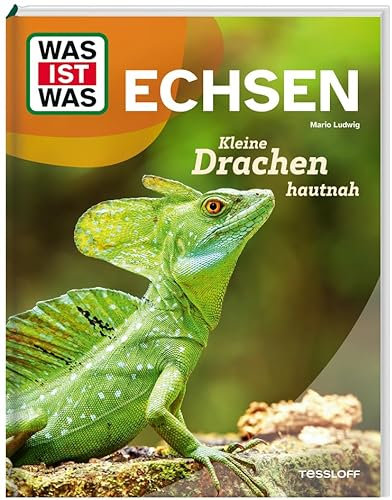 WAS IST WAS Echsen. Kleine Drachen hautnah | Spektakuläre Bilder | AHA-Momente & cooles Wissen | Für Kinder ab 8 Jahren (WAS IST WAS Das Original)