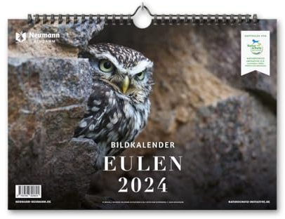 Eulen 2024: Themenkalender