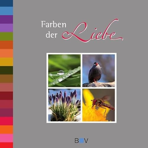 Farben der Liebe: Geschenkbuch