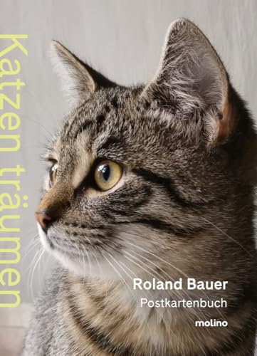 Katzen träumen: Das Postkartenbuch für alle Katzenliebhaber mit 20 bezaubernden Fotografien | Zum Verschenken oder selbst träumen