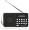 Portable Radio Digital Radio Tragbare HiFi Musik Lautsprecher Unterstützung FM Radio TF SD Karte USB AUX w/Display Welt Universal FM 87.5-108
